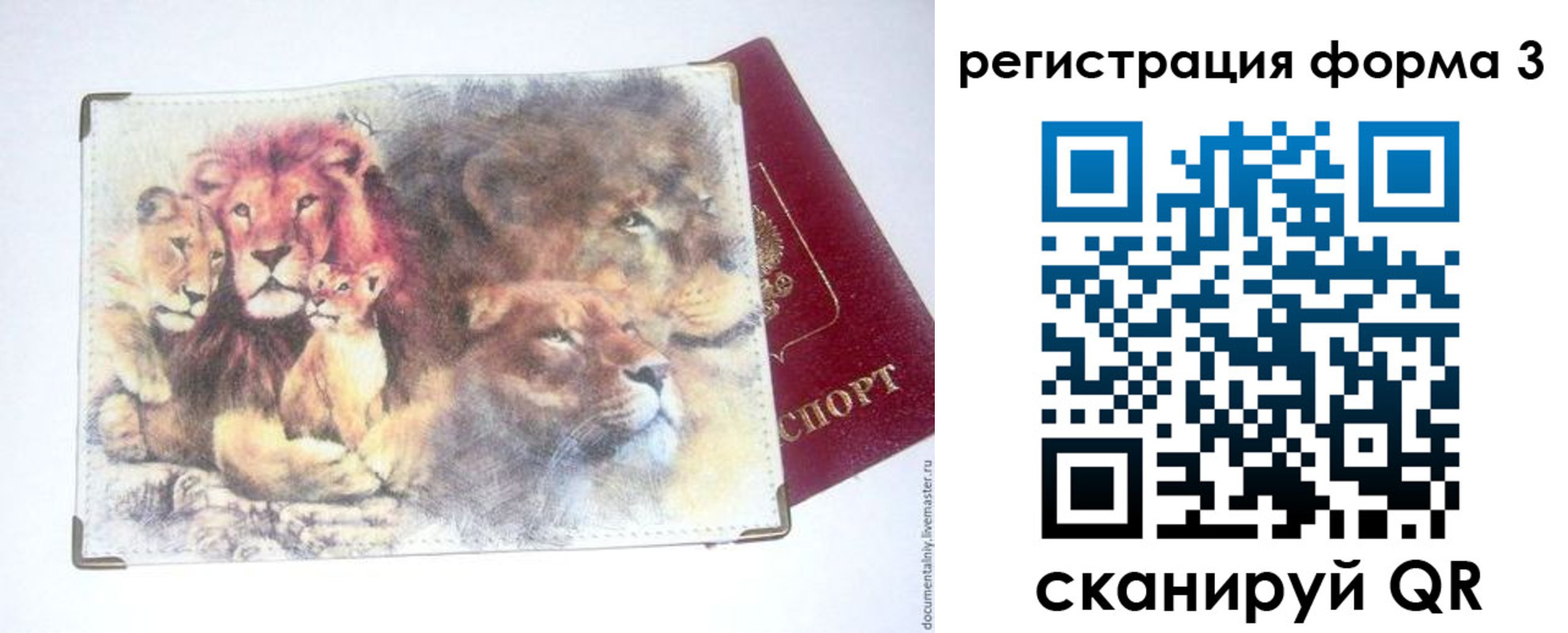 прописка в квартире в Ряжске